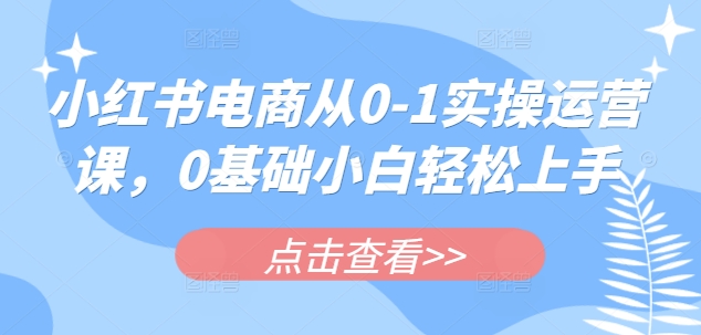 小红书电商从0-1实操运营课，0基础小白轻松上手-云享网创