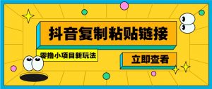 零撸小项目，新玩法，抖音复制链接0.07一条，20秒一条，无限制。-云享网创