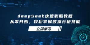 deepSeek快速驯服教程，从零开始，轻松掌握数据分析技能-云享网创