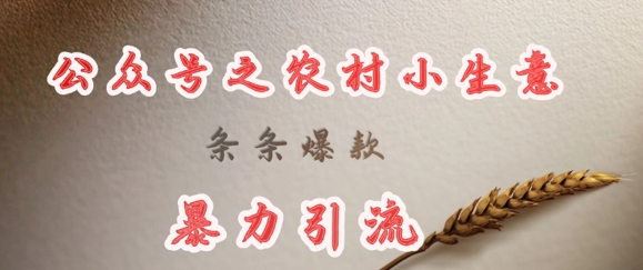 deepseek写农村小项目，条条爆款，暴力引流-云享网创