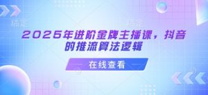 2025年进阶金牌主播课，抖音的推流算法逻辑-云享网创