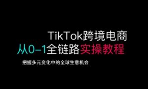 TikTok跨境电商从0-1全链路全方位实操教程，把握多元变化中的全球生意机会-云享网创