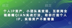 个人IP资产，小团队高变现，互联网全链路赚QIAN实战打法，助你打造个人IP，实现资产不断增值-云享网创