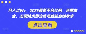 月入过W+，2025最新平台红利，无需本金、无需技术绑定账号就能自动收米-云享网创