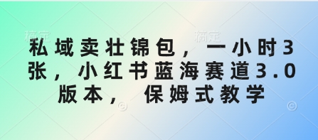 私域卖壮锦包，一小时3张，小红书蓝海赛道3.0版本， 保姆式教学-云享网创