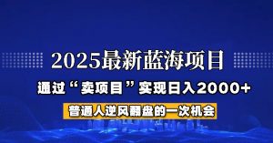 2025年蓝海项目,如何通过“网创项目”日入2000+-云享网创