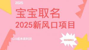 2025新风口项目宝宝取名，0成本高利润，附保姆级教程，月入过万不是梦-云享网创