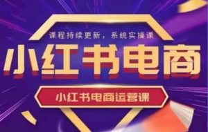 小红书电商运营实操课，​新手从0~1落地实操-云享网创