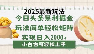 今日头条2025最新玩法，思路简单，复制粘贴，轻松实现矩阵日入2000+-云享网创