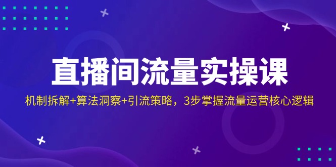 直播间流量实操课：机制拆解+算法洞察+引流策略，3步掌握流量运营核心逻辑-云享网创