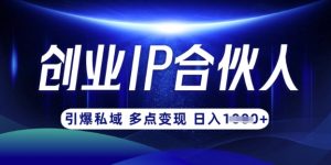云帆·创业ip合伙人打造3.0，从0到1教你做网创，实现月入过W-云享网创