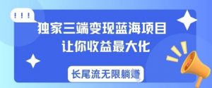 独家三端变现蓝海项目，让你收益最大化，长尾流无限躺挣-云享网创