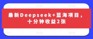最新Deepseek+蓝海项目，十分钟收益2张-云享网创