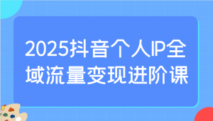 2025抖音个人IP全域流量变现进阶课：选爆品、抖音付费投流、千川投流实操及优化等-云享网创