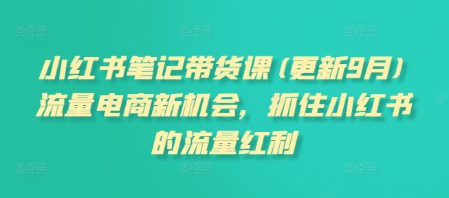 小红书笔记带货课(更新25年3月)流量电商新机会，抓住小红书的流量红利-云享网创
