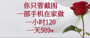 你只管截图，一部手机在家操作，一小时120.一天5张【揭秘】-云享网创