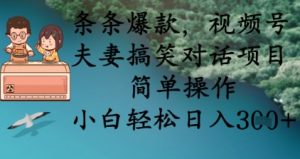 条条爆款，视频号夫妻搞笑对话项目，简单操作，小白轻松日入3张+-云享网创