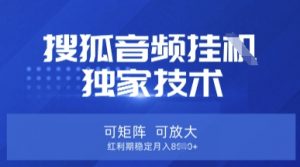【搜狐音频挂G】独家技术,可矩阵可放大,红利期稳定月入8k【揭秘】-云享网创