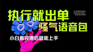 爆火全网的开车导航骚气语音包,只要执行就出单,小白看完课程就能实操…-云享网创
