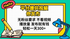 平台提供视频 你发布 无粉丝要求 不看视频播放量 发布就有钱 轻松一天300+-云享网创