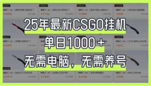 25年最新CSGO挂机系统，单日1000+，无需电脑，无需养号，0基础可上手-云享网创