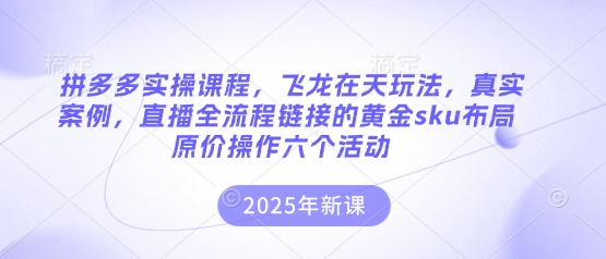 拼多多实操课程，飞龙在天玩法，真实案例，直播全流程链接的黄金sku布局原价操作六个活动-云享网创