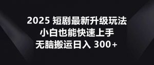 2025短剧最新升级玩法，小白也能快速上手，无脑搬运日入300+-云享网创