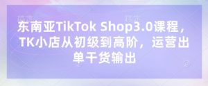 东南亚TikTok Shop3.0课程，TK小店​从初级到高阶，运营出单干货输出-云享网创