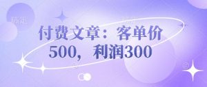 付费文章：客单价500，利润300-云享网创