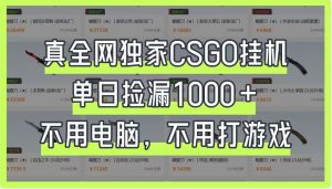真全网独家CSGO挂机，单日捡漏1000+，不用电脑，不用养号-云享网创