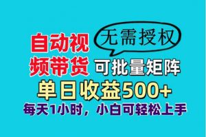 自动视频带货，可批量矩阵，单日收益500+、轻松实现睡后收益，小白可…-云享网创