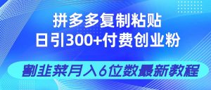 拼多多复制粘贴日引300+付费创业粉，割韭菜月入6位数最新教程！-云享网创