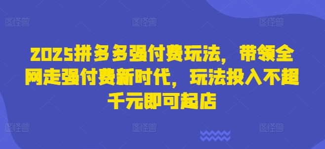 2025拼多多强付费玩法，带领全网走强付费新时代，玩法投入不超千元即可起店-云享网创