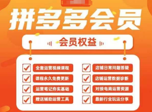 2025拼多多运营实战课，40节全流程教学，覆盖拼多多运营全链路-云享网创