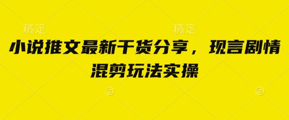 小说推文最新干货分享，现言剧情混剪玩法实操-云享网创