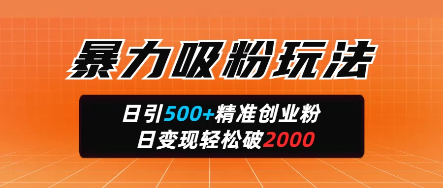 暴力吸粉玩法，日引500+精准创业粉，日变现轻松破2000-云享网创