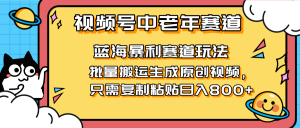 2025视频号中老年短视频蓝海暴利风口！复制粘贴搬运视频单日赚800+，无…-云享网创