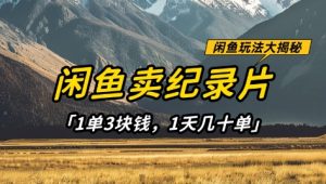 闲鱼卖纪录片1单3块钱，1天几十单，项目稳定有潜力-云享网创