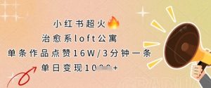 小红书超火的治愈系loft公寓，单条作品点赞16W，3分钟一条，单日变现数张-云享网创