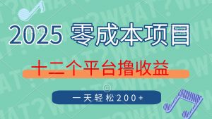 2025年零成本项目，十二个平台撸收益，单号一天轻松200+-云享网创