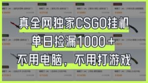 真全网独家CSGO挂G，单日捡漏1k+【揭秘】-云享网创
