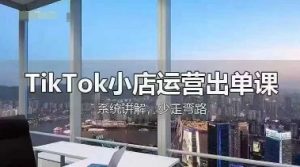 TikTok小店运营出单课，从开店选品、运营出单、发货回款，进行全流程讲解-云享网创