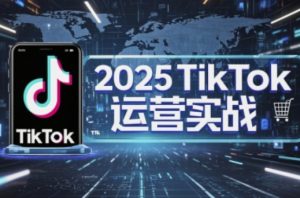 2025TikTok电商运营,掌握TikTok店铺运营核心技巧,实现低成本高转化-云享网创