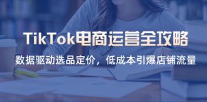 TikTok电商运营全攻略，数据驱动选品定价，低成本引爆店铺流量-云享网创