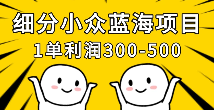 细分小众蓝海项目，一单利润300-500，每月收入稳定4w+-云享网创