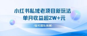 小红书私域项目新玩法,单月变现过W+-云享网创