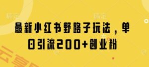 最新小红书野路子玩法，单日引流200+创业粉-云享网创