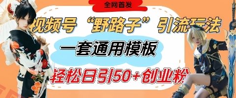 视频号“野路子”玩法，评论区疯狂截流，一套模板单日单号引流50+创业粉-云享网创