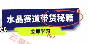 水晶赛道带货秘籍，国学结合、短视频起号、拍摄技巧、直播话术等内容-云享网创