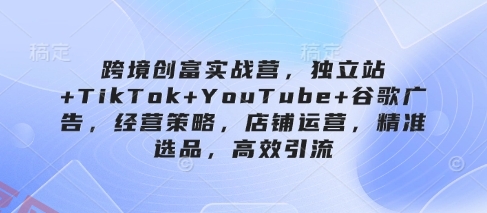 跨境创富实战营，独立站+TikTok+YouTube+谷歌广告，经营策略，店铺运营，精准选品，高效引流-云享网创